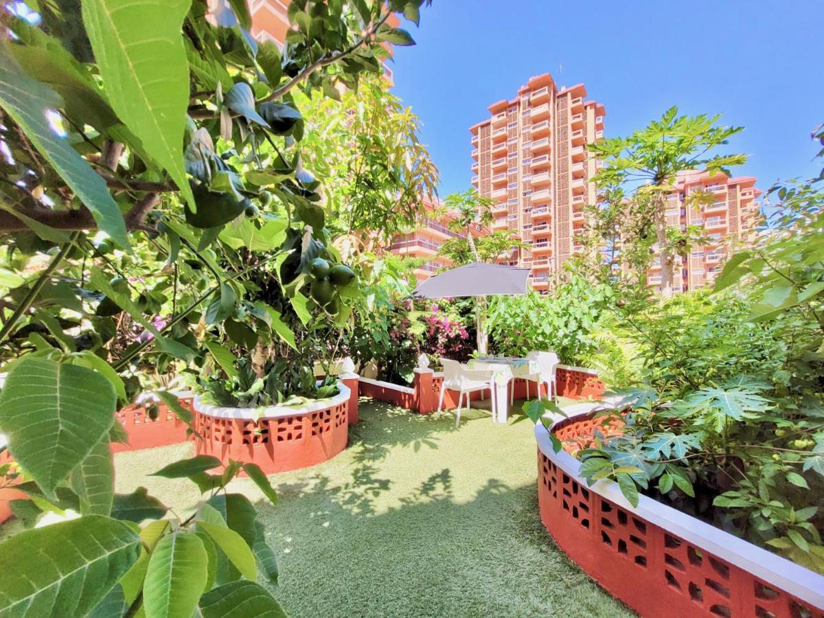 Appartement Magnolia House à Puerto de la Cruz  Extérieur photo